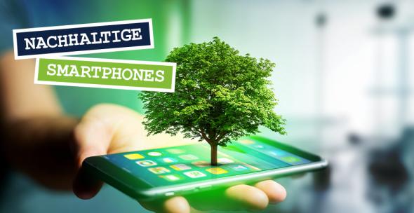 Eine Hand hält ein Smartphone mit einem Baum.